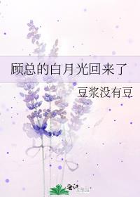 顾总的白月光回来了